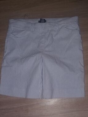 Hilary Radley Light Blue and White Striped Flat Front Shorts Sz XL